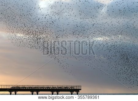 A Murmuration Of Starlings Creating A Swirling Tornado Like Pattern In The Sky Over A Pier