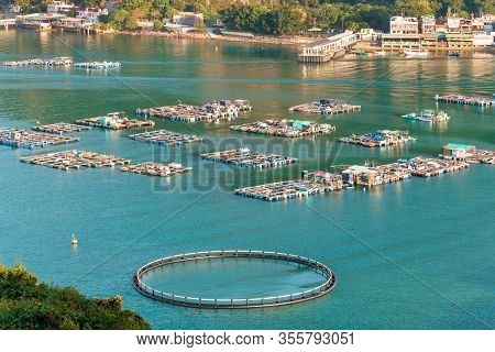 Fish Farming Rafts At Sok Kwu Wan Fisherfolks Village Viewed From Observation Deck Of Family Walk Tr