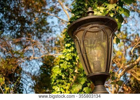 A Dirty Old Lightpost With Trees In The Background