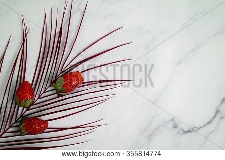 Three Ripe Red Fresh Strawberries And Tropical Leaf, Robelini Branch Isolated On White Marble Backgr
