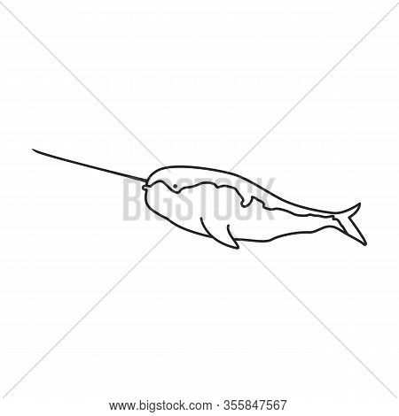 Narwhal Whale Vector Icon.outline Vector Icon Isolated On White Background Narwhal Whale.