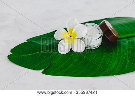 Vegan Natural Beauty, Pot Of Face Cream And Bottle Of Body Lotion On Green Leaves With Monoi Flowers