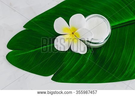 Vegan Natural Beauty, Pot Of Face Cream And Bottle Of Body Lotion On Green Leaves With Monoi Flowers