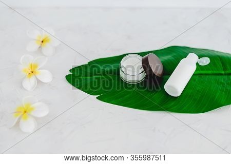 Vegan Natural Beauty, Pot Of Face Cream And Bottle Of Body Lotion On Tropical Green Leaf With Monoi