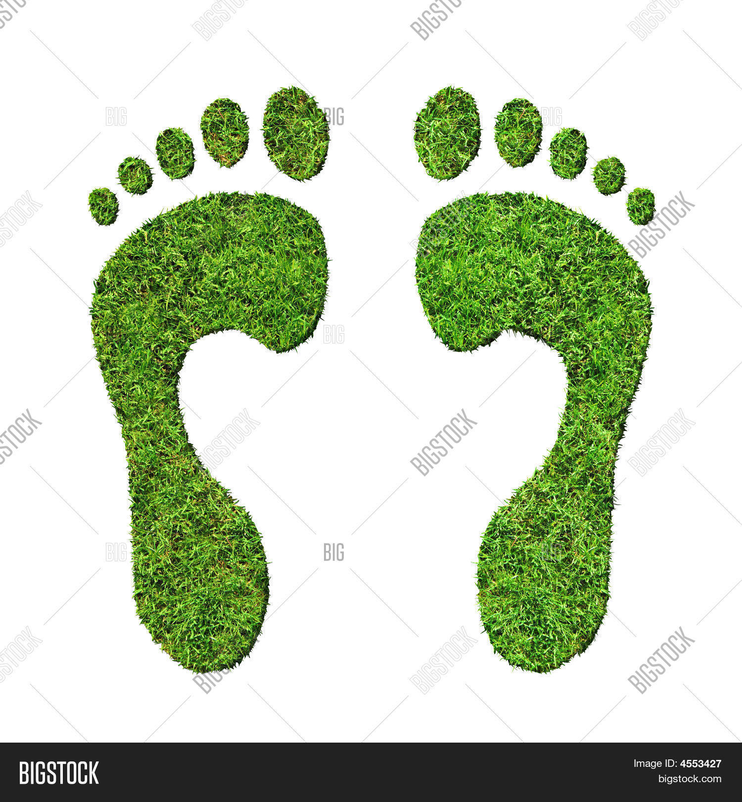 Green Footprints Image & Photo (Free Trial) Bigstock