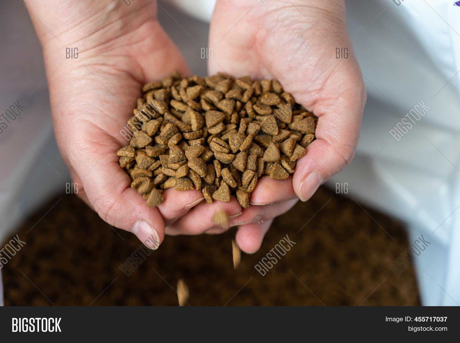 Pelleted Dry Cat Food Image & Photo (Free Trial) Bigstock
