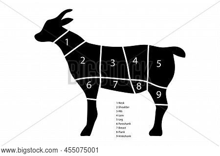 Vintage Goat Slicing Pattern, Great Design For Any Purpose. Slicing Chart With Numbers. Stock Image.