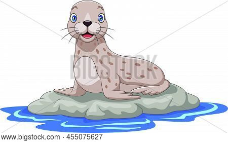 Vector Illustration Of Cartoon Sea Lion On The Rock