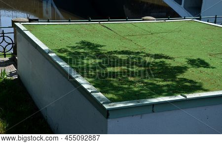 Plastic Carpet On The Roof Of The Building. The Green Beetle Replaces The Lawn Which Looks Hako Aliv