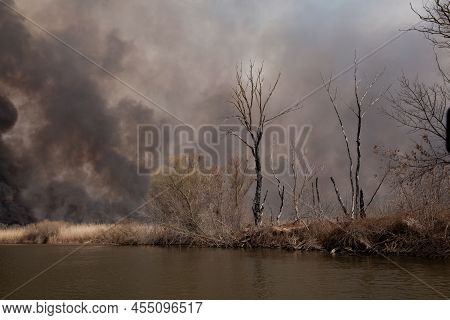 Disaster. Fire In National Park. Russia. Burning Reeds On Volga River In Astrakhan Region. Fire Merc