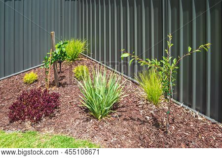Starting A New Garden On Your Backyard, South Australia