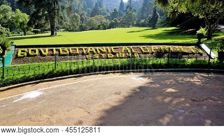 Beautiful Government Botanical Gardens In Ooty, Tamilnadu, India.