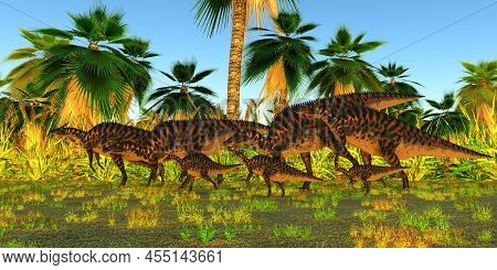 Saurolophus Dinosaur Herd 3d Illustration - A Herd Of Herbivorous Hadrosaur Saurolophus Dinosaurs Wa