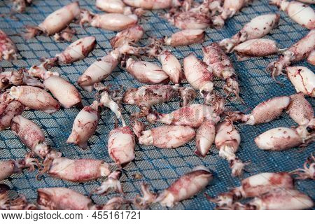 Dried Squid Or Octopus At Thai Seafood Market
