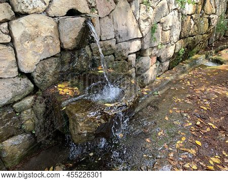 Springs In The Ein Hemed Or Aqua Belle National Park