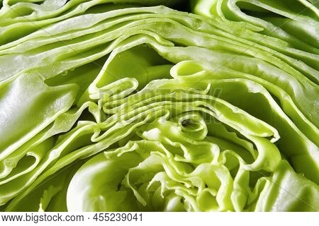 Close Up Of Green Cabbage. Texture Of Cut Salad Cabbage. Textured Pattern Of Cabbage.