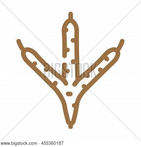Chicken Hoof Print Color Icon Vector. Chicken Hoof Print Sign. Isolated Symbol Illustration