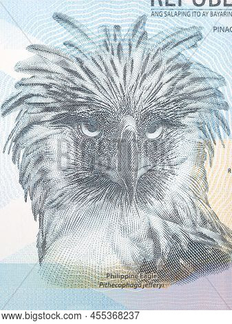 Philippine Eagle A Portrait From Money - Peso