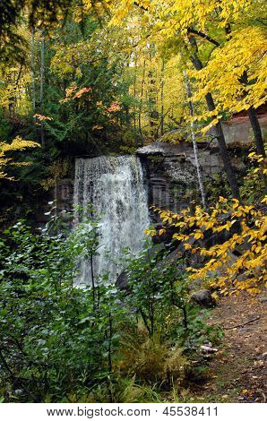 Herbst gelb auf Ungarisch fÃ¤llt