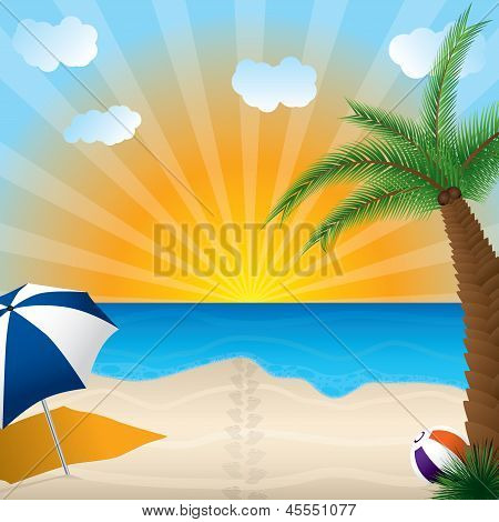 Sandy Beach View
