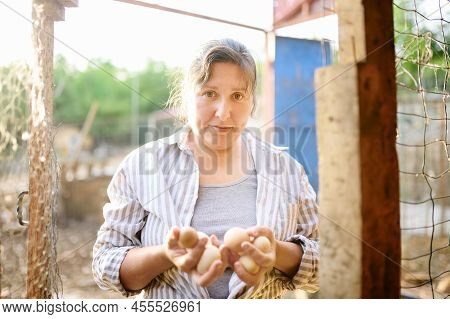 Cute Woman Farmer Collecting Fresh Organic Eggs On Chicken Farm. Floor Cage Free Chickens Is Trend O