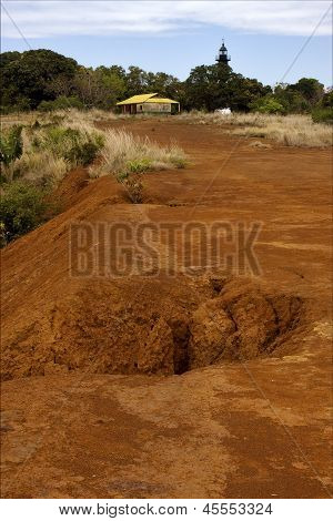 Lighthouse  Hill Bush Plant Lagoon