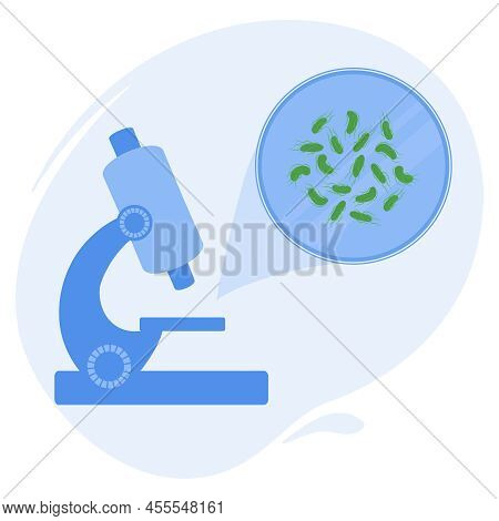 Salmonella Typhi Bacteria Cell Medical Diagram Icon