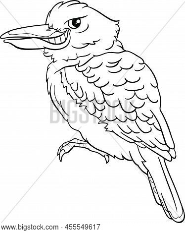Black And White Cartoon Illustration Of Funny Kookaburra Bird Animal Character Coloring Page