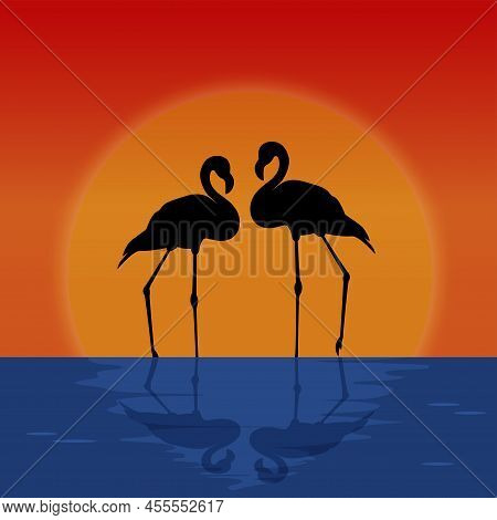 Silhouette Pair Of Flamingos On Sunset Background. Shadow Two Tropical Birds Cartoon. Setting Sun Is