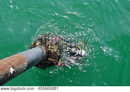 Newport Beach, California - 4 May 2022: Diver Dolding On To A Pylon Of The Pier As He Prepares To Ma