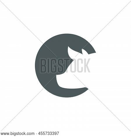 Pig Icon Logo Design Concept Illustration Template