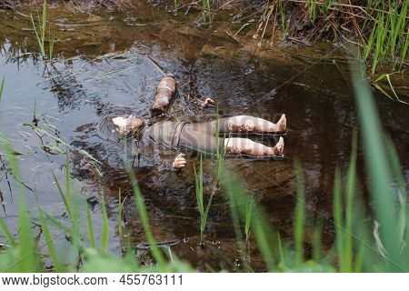 Thrown Away Old Dirty Doll In In A Muddy Ditch By The Road