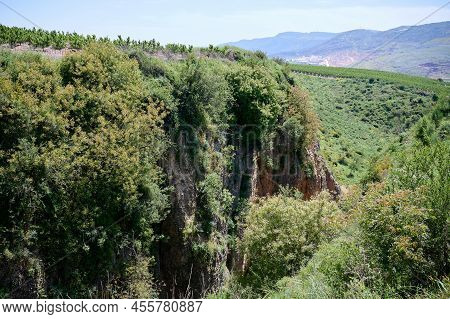 Landscapes And Plants In The Area Of The Ayuna Water Stream. Riv