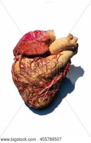 Moscow, Russia - May 05, 2021: Famous Anatomy Exhibition Body Worlds Where Plastinated Bodies Are Ex