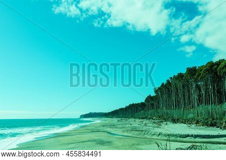 Tall Rimu Trees Line Beach At Bruce Bay On West Coast Of South Island New Zealand.retro Color Effect