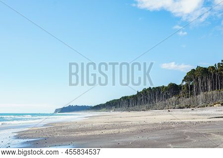 Tall Rimu Trees Line Beach At Bruce Bay On West Coast Of South Island New Zealand.