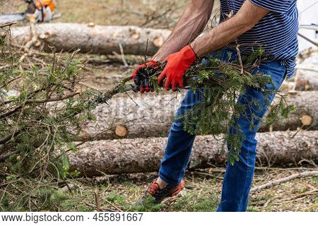 Closeup Side View On Arms And Legs Of A Man With Muscular Arms Wearing Red Safety Gloves, Pulling Tr