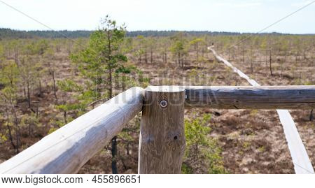 A Wooden Path In The Soomaa National Park In Estonia Among The Forest And Marshland On A Clear Day