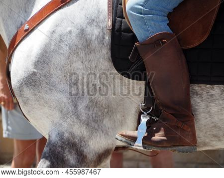Croup Of A White Horse, Saddle, Girth, Stirrup, Rider\'s Leg In A Brown High Boot.