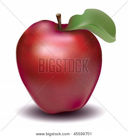 Rode appel