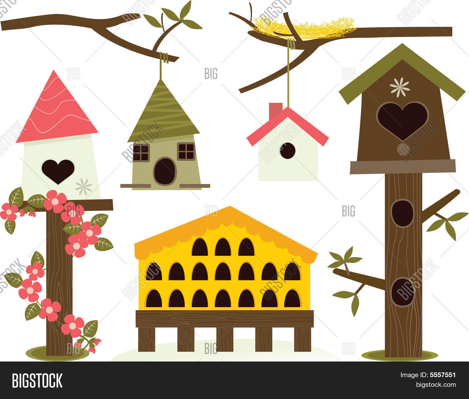 Image Preview