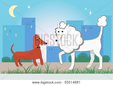 walking dogs in the evening town