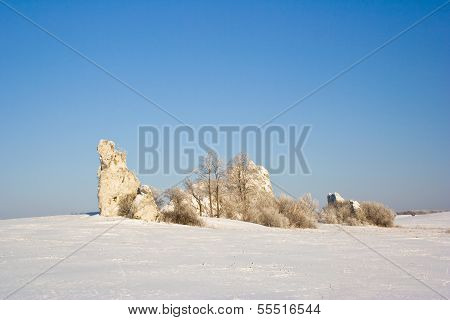 Limestone Rock In Jura Krakowsko-czestocho Wska. Poland