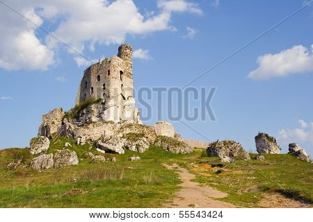 Ruins Of Medieval Castle Mirow In Poland