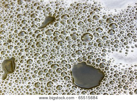 Foamy bubbles