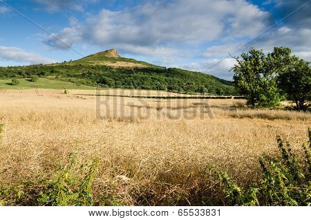 Roseberry Topping From The North