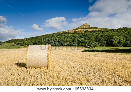 Hay Bale At Roseberry Topping