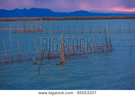 Albufera sunset lake park in Valencia el saler colorful sky of Spain