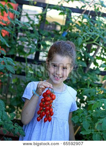 Pretty Little Girl With The Blue Dress With Tomatoes In His Garden In The Balcony