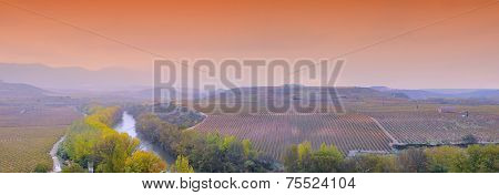 Vineyards In La Rioja, Spain..